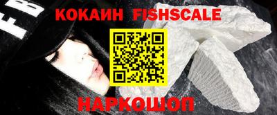 крисы Краснознаменск