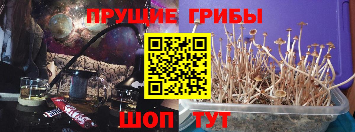 Псилоцибиновые грибы Magic Shrooms  Вход с VPN  Уварово  Галлюциногенные грибы Psilocybine cubensis 
